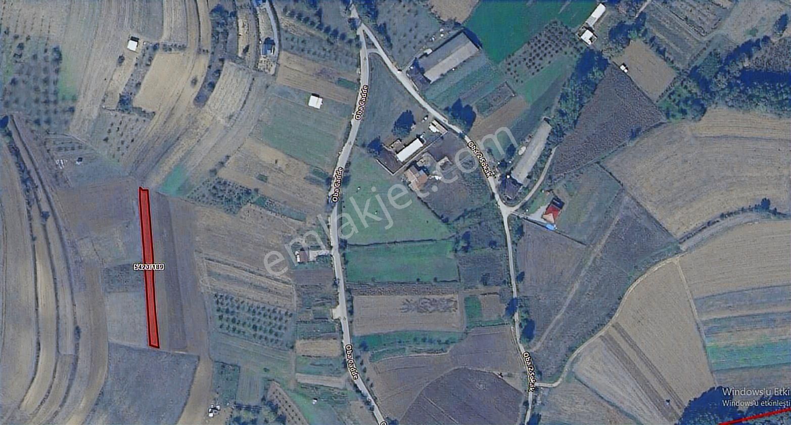 Adapazarı Salmanlı Satılık Tarla Yola Evlere Yakın - Görsel 3