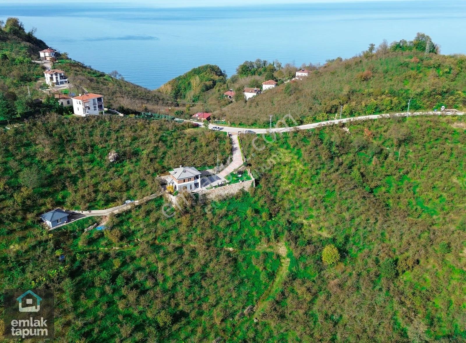 Fatsa Bolaman'da 11.000m2 Arazide Turizm İşletmeli Satılık Villa - Görsel 10