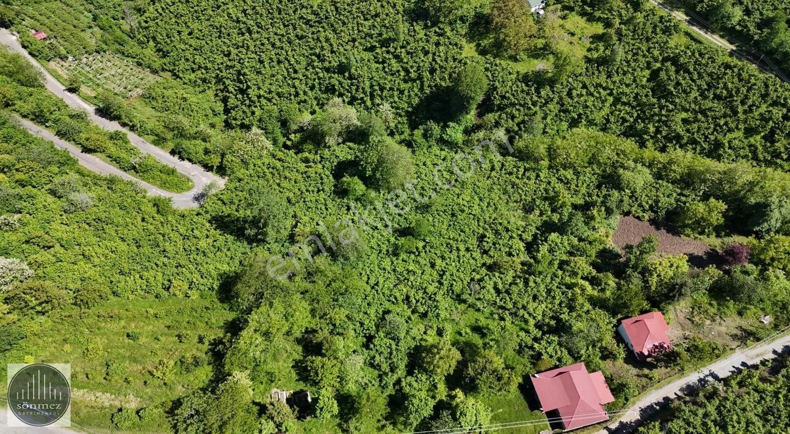 Sönmez'den Çerli Mah. Deniz Manzaralı Müstakil Evli Arsa - Görsel 5