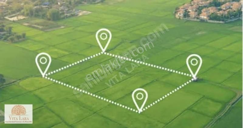 Asfalt Yola Sıfır Etrafı Çevrili Yatırımlık Satılık Tarla