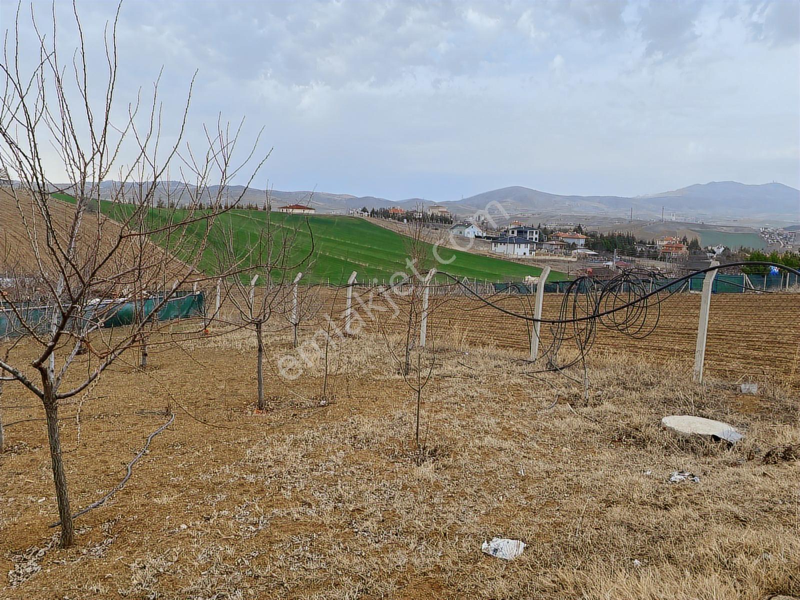 Sirkeli'de Tapulu Elektirik Su Bağlı 60m² Ev 1000m²hobi Bahçesi - Görsel 29