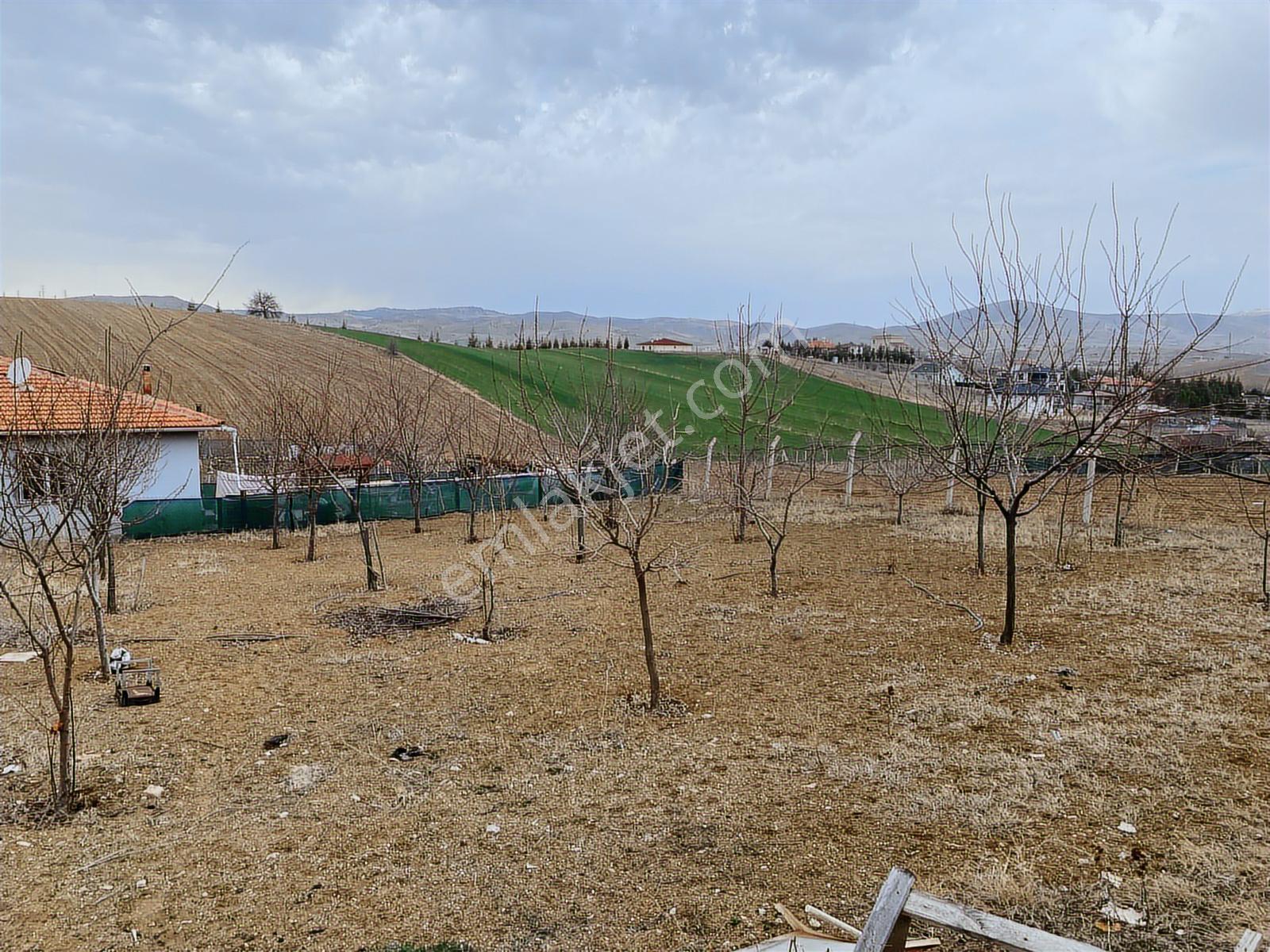 Sirkeli'de Tapulu Elektirik Su Bağlı 60m² Ev 1000m²hobi Bahçesi - Görsel 35