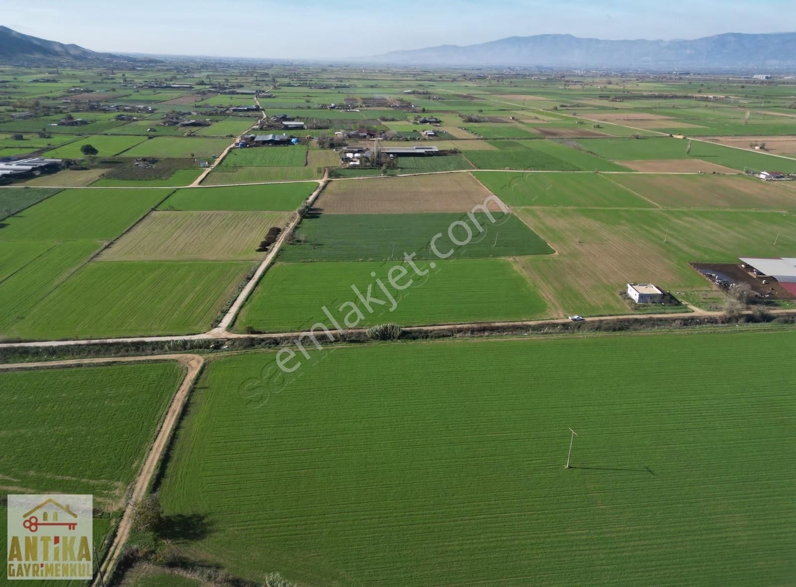 Antika Gayrimenkul'den Adagümede Satılık 9.493 M² Tarla - Görsel 5