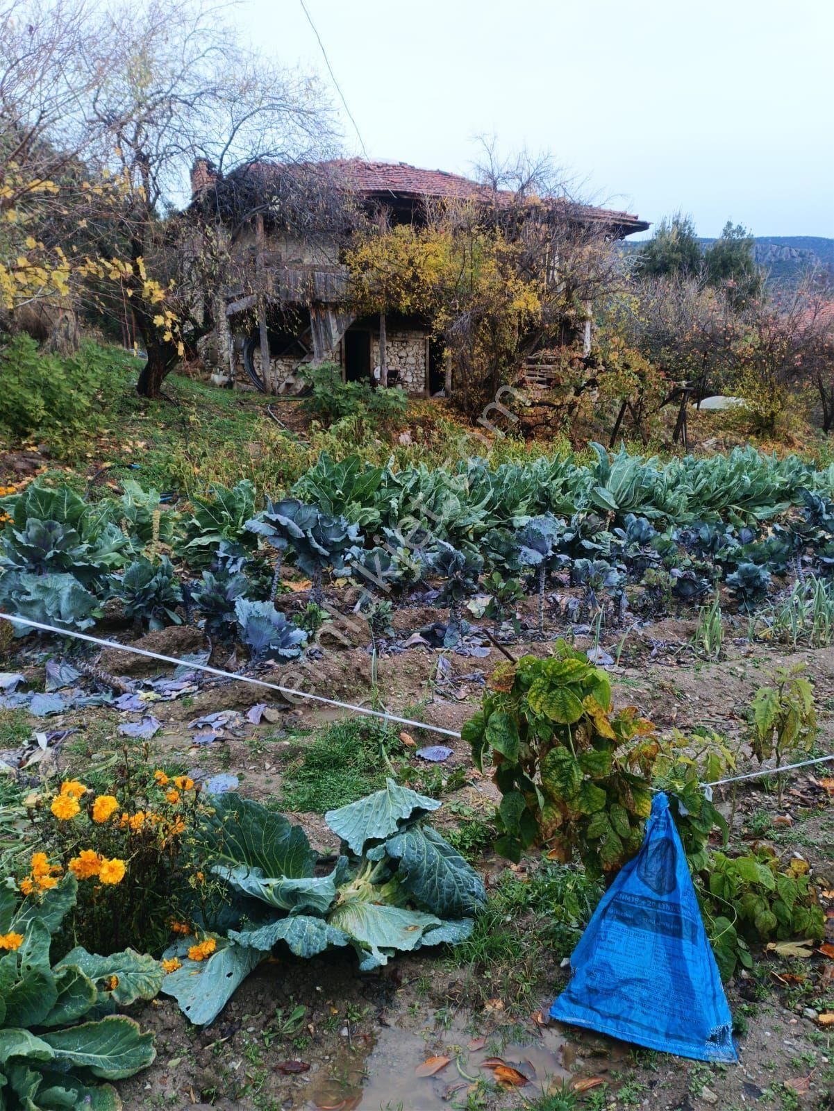 Nora'dan Kale'de 2512 M - Görsel 7