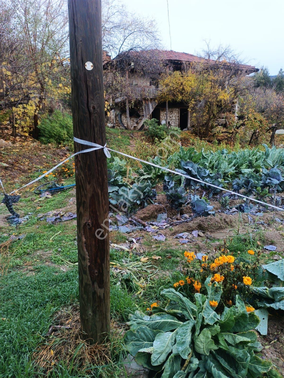 Nora'dan Kale'de 2512 M - Görsel 3