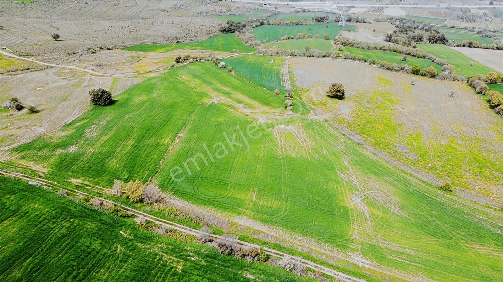 Çanakkale Musaköyde Panaromik Boğaz Ve Köprü Manzaralı Arazi - Görsel 3