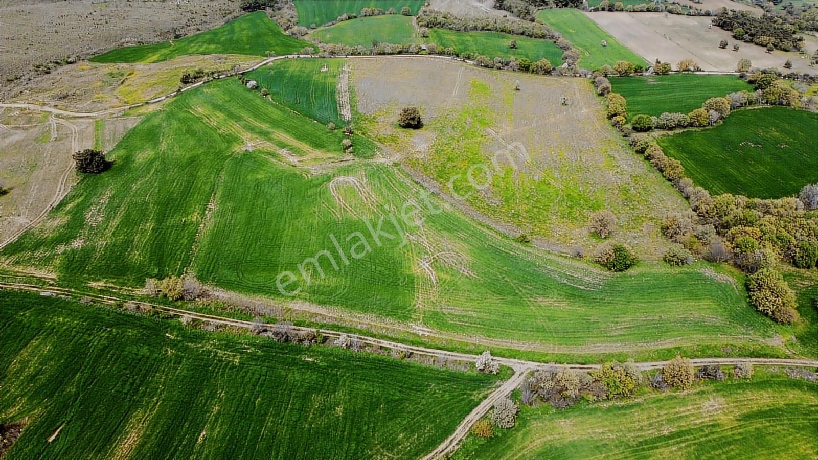 Çanakkale Musaköyde Panaromik Boğaz Ve Köprü Manzaralı Arazi - Görsel 28
