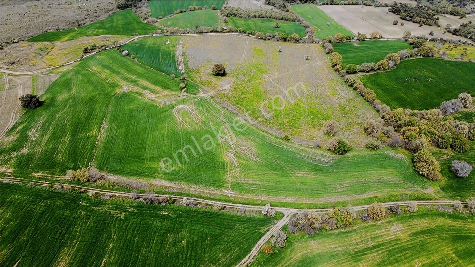 Çanakkale Musaköyde Panaromik Boğaz Ve Köprü Manzaralı Arazi - Görsel 26