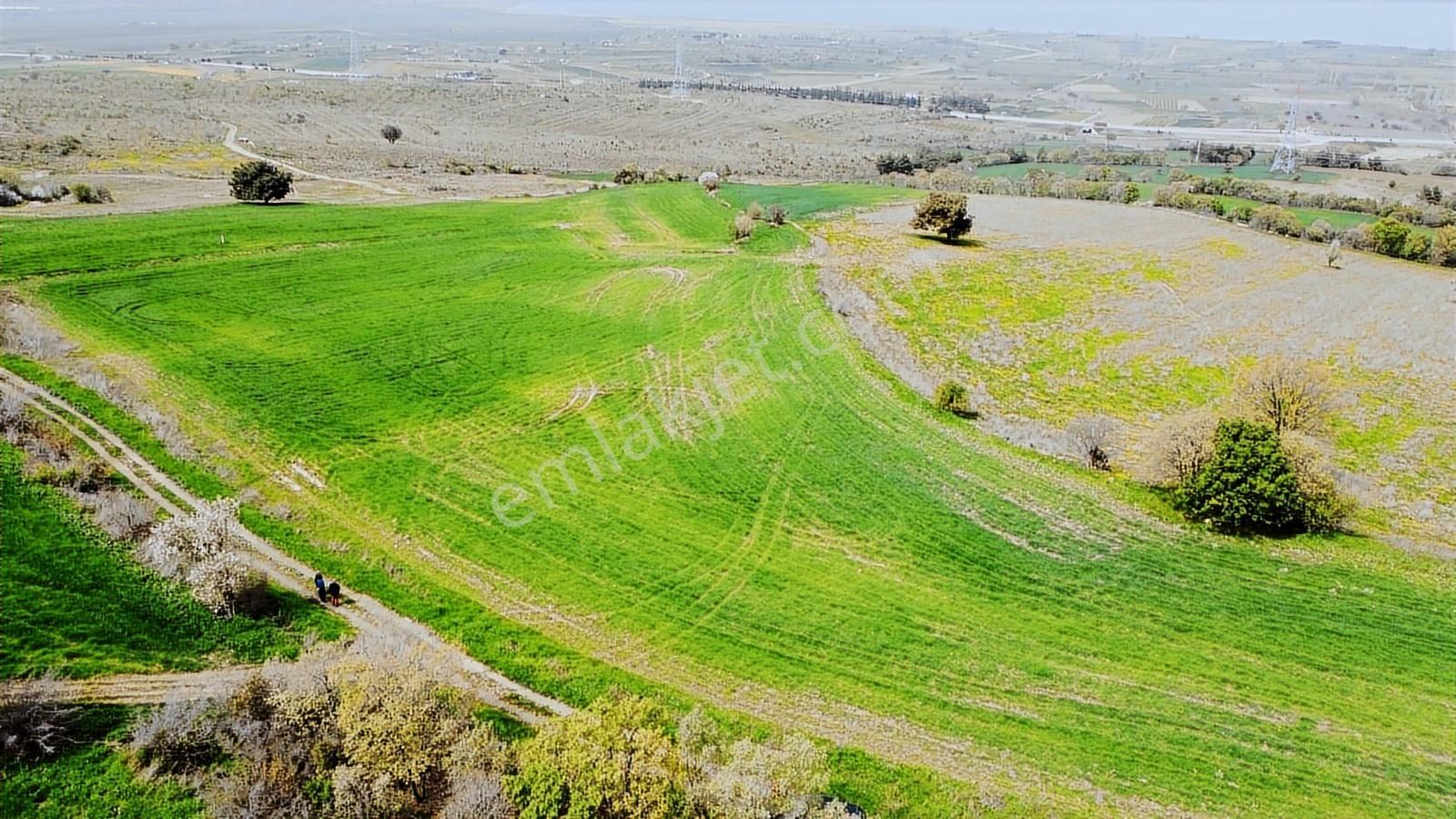 Çanakkale Musaköyde Panaromik Boğaz Ve Köprü Manzaralı Arazi