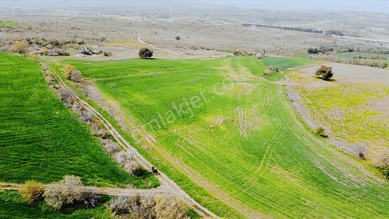 Çanakkale Musaköyde Panaromik Boğaz Ve Köprü Manzaralı Arazi - Görsel 9
