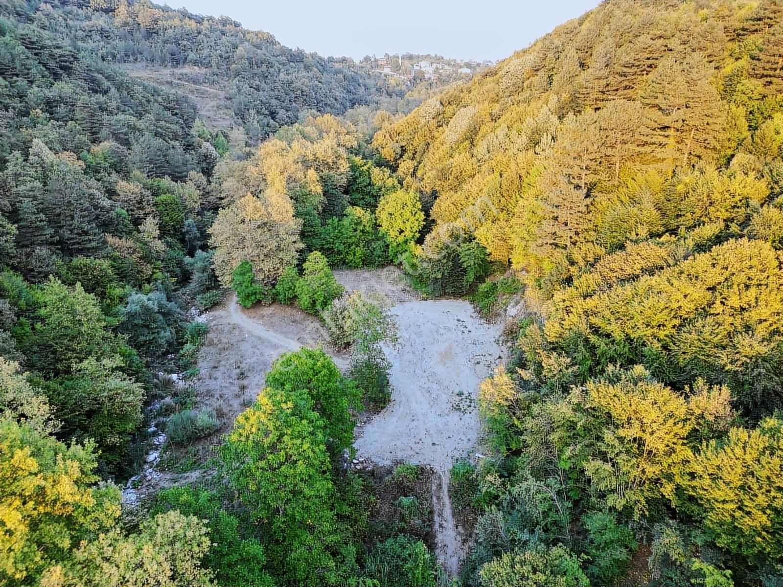 Bursa Kestel Gözede Köyünde Doğayla İç İçe Satılık Tarla - Görsel 3