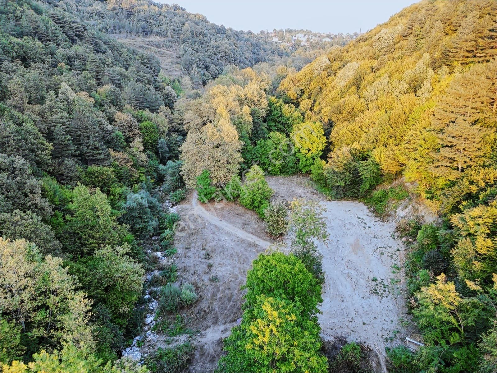 Bursa Kestel Gözede Köyünde Doğayla İç İçe Satılık Tarla