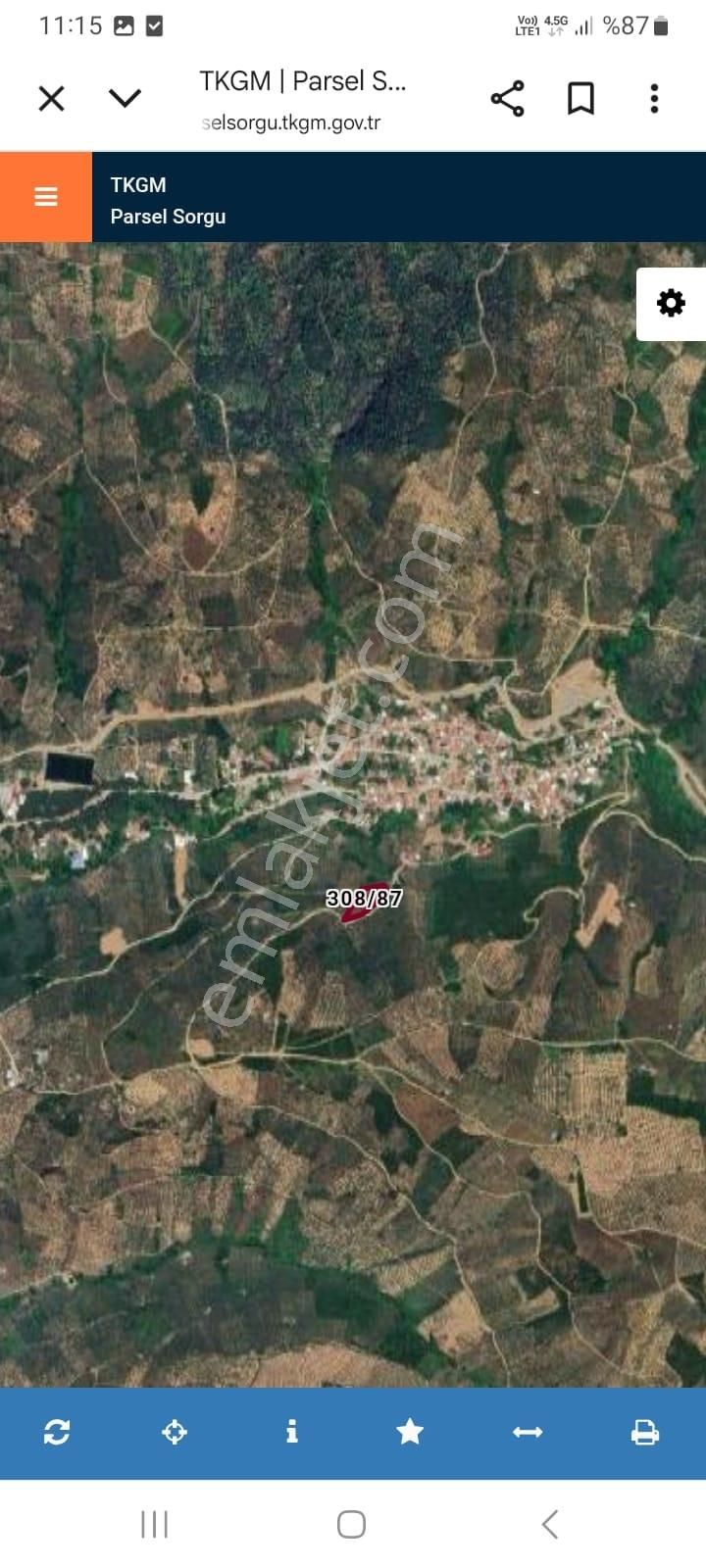 Gemlik Küçükkumla Köyünde 2613m² Satılık Zeytinlik - Görsel 4