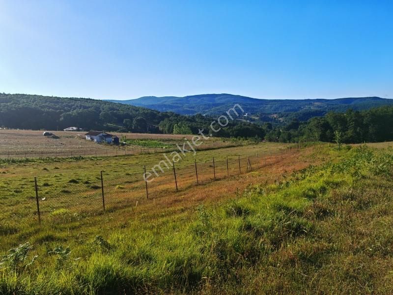 Turyap Körfezden Körfez Kalburcu Köyünde Satılık 6200 M2 Tarla - Görsel 13