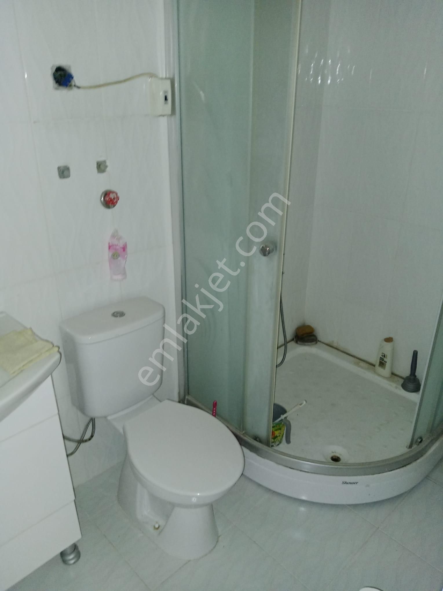 Ödemiş Kayakcıda Müstakil - Görsel 17