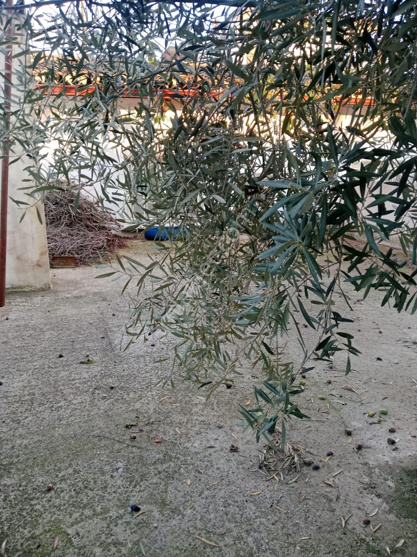 Ödemiş Kayakcıda Müstakil - Görsel 18