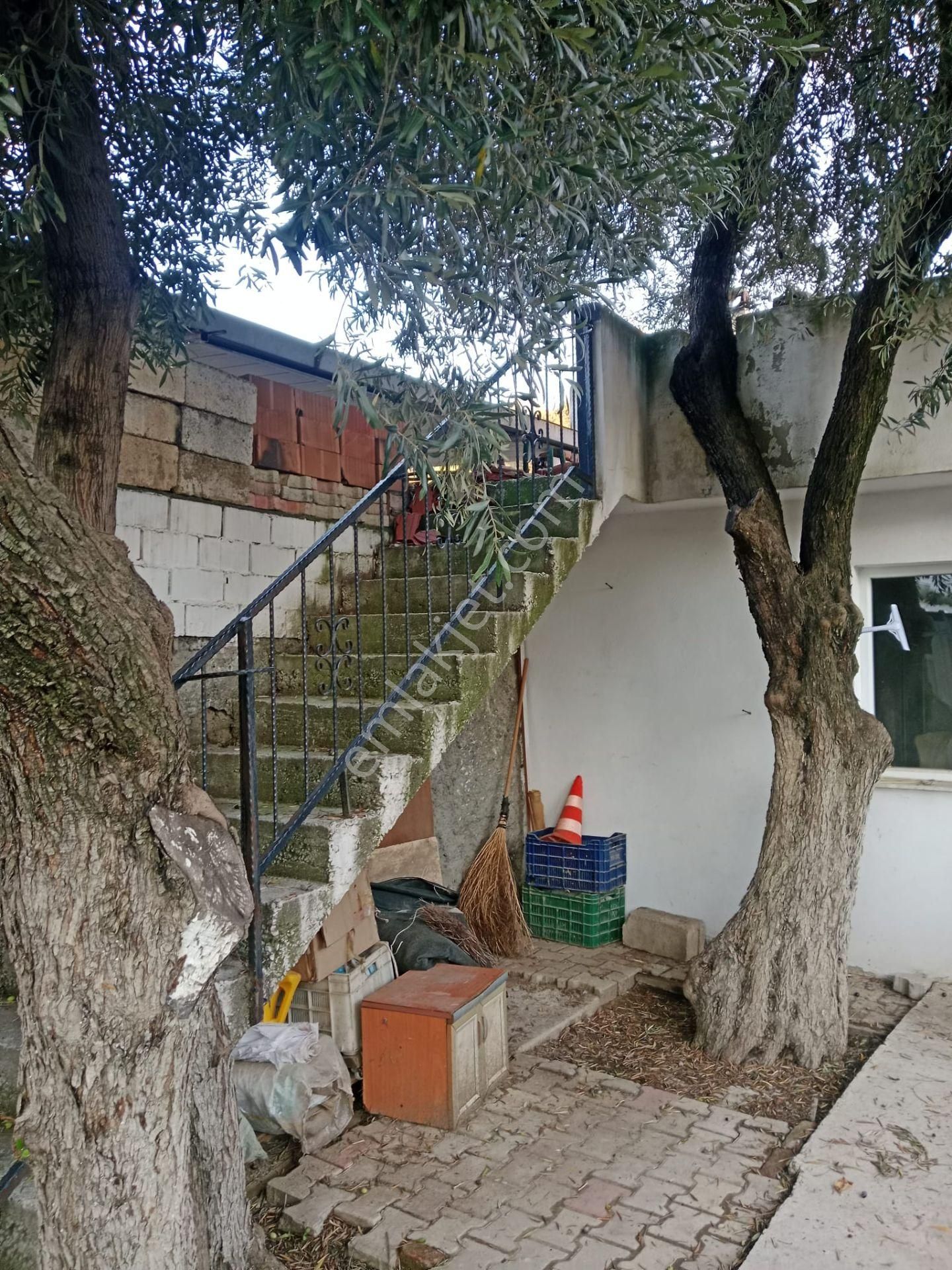 Ödemiş Kayakcıda Müstakil - Görsel 5