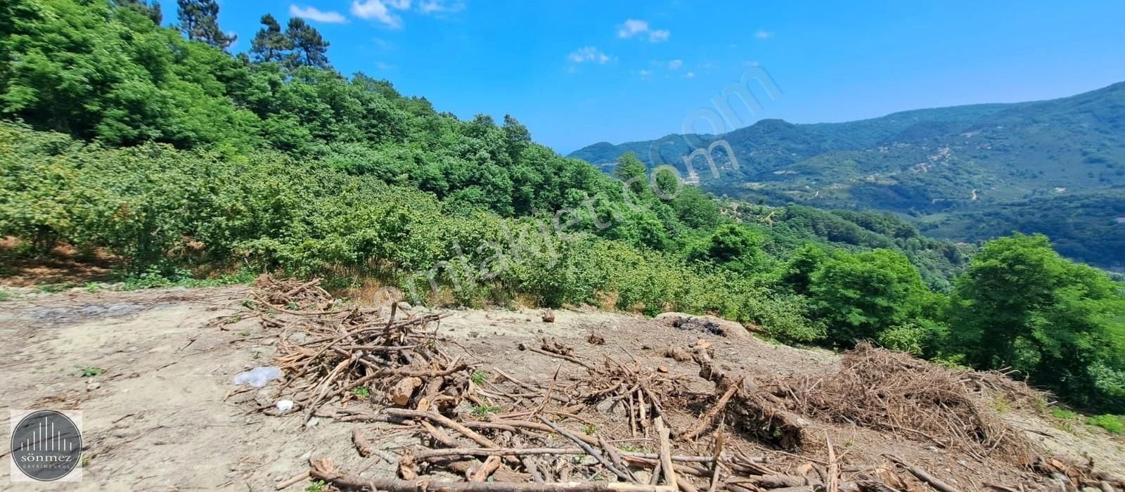 Sönmez'den Perşembe/çaytepe'de 7.800 M² Satılık Fırsat Arsa - Görsel 4