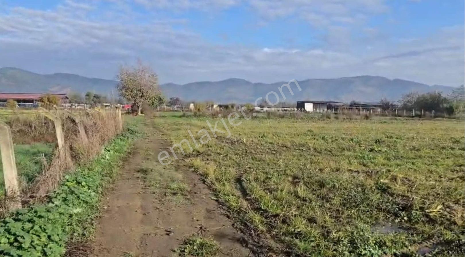 Yerleşim Alanına Yakın Tarla - Görsel 5