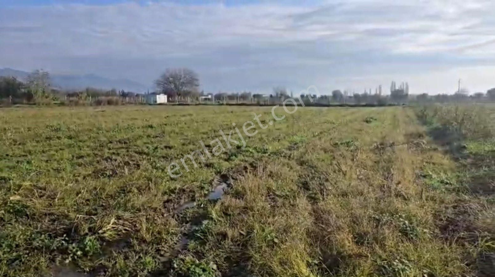 Yerleşim Alanına Yakın Tarla - Görsel 3