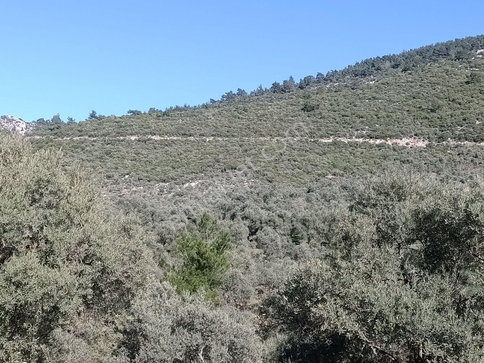 Coldwell Banker Jasse Güvencesi İle Buca Doğancılar Köyünde - Görsel 15