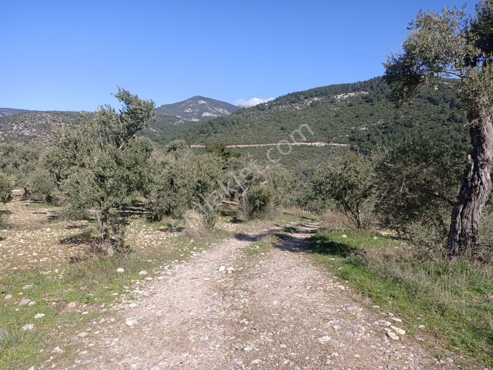 Coldwell Banker Jasse Güvencesi İle Buca Doğancılar Köyünde - Görsel 8