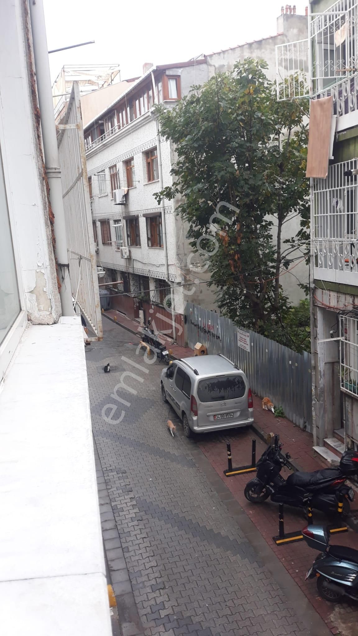 Cerrahpaşa Gayrimenkul Den 2+1 Giriş Kat - Görsel 24