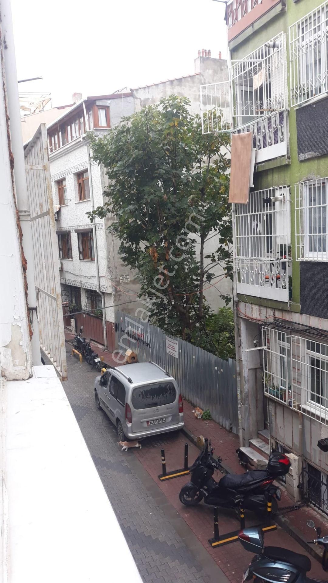 Cerrahpaşa Gayrimenkul Den 2+1 Giriş Kat - Görsel 23