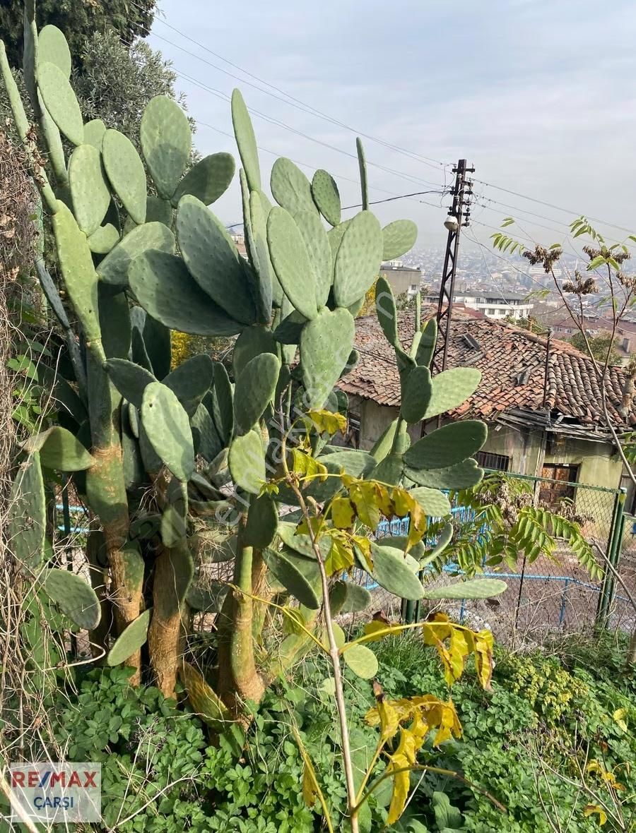 İzmıtın Merkezınde Kaçırılmayacak Hobı Bahçesı - Görsel 13