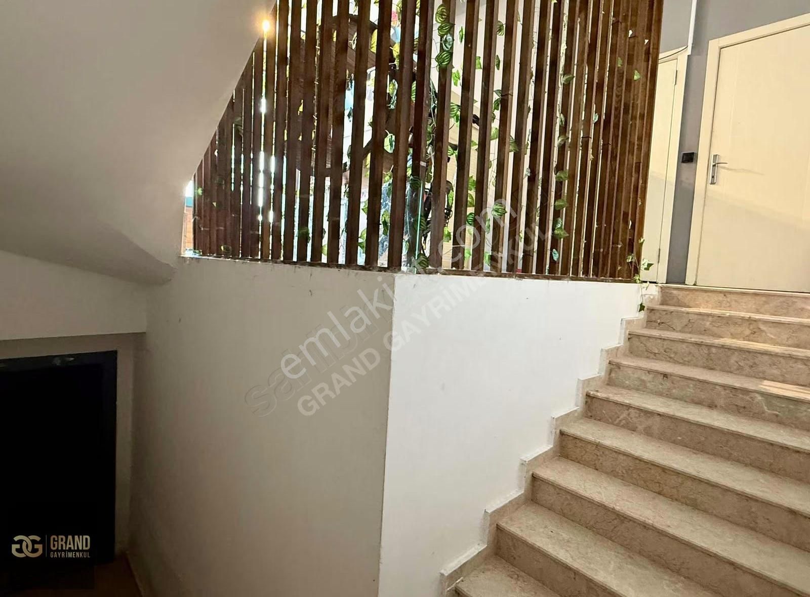 Bağlıca'da Cadde Üstü 3 Katlı Hazır Müşterili Pet Kuaför - Görsel 6