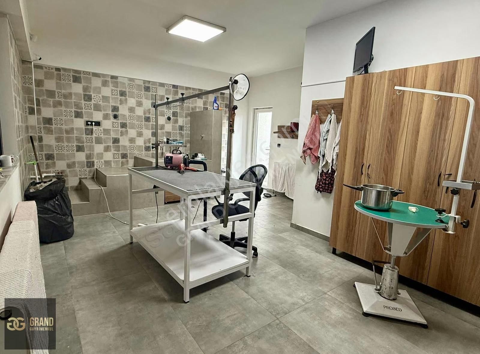 Bağlıca'da Cadde Üstü 3 Katlı Hazır Müşterili Pet Kuaför - Görsel 7