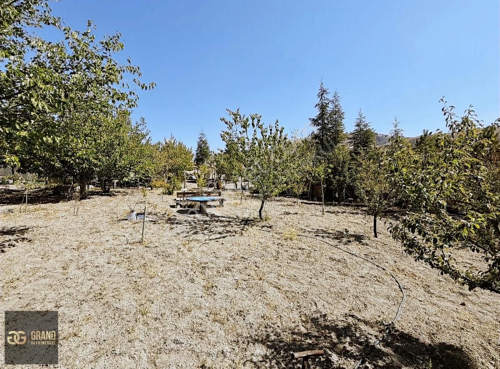 70 M² Katlı Ev + Meyve Ağaçlı Arsa Ayaş Hacırecepte Satılık - Görsel 14