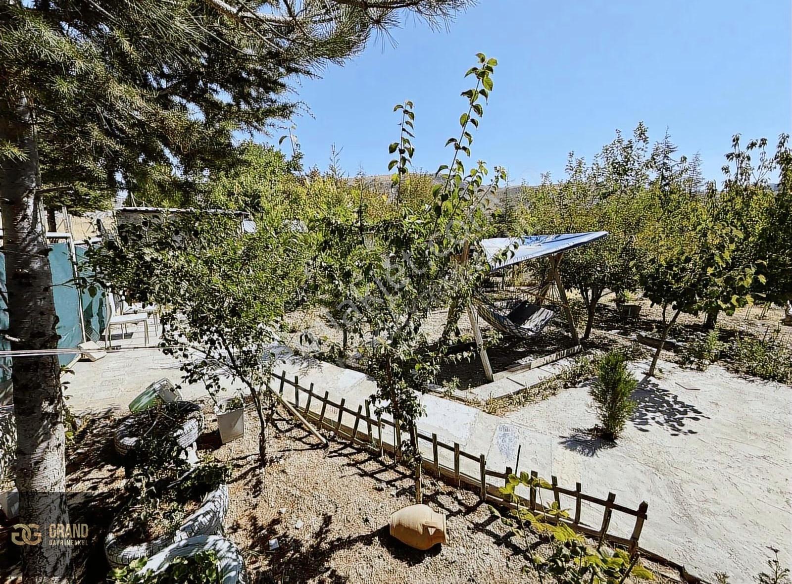70 M² Katlı Ev + Meyve Ağaçlı Arsa Ayaş Hacırecepte Satılık - Görsel 2