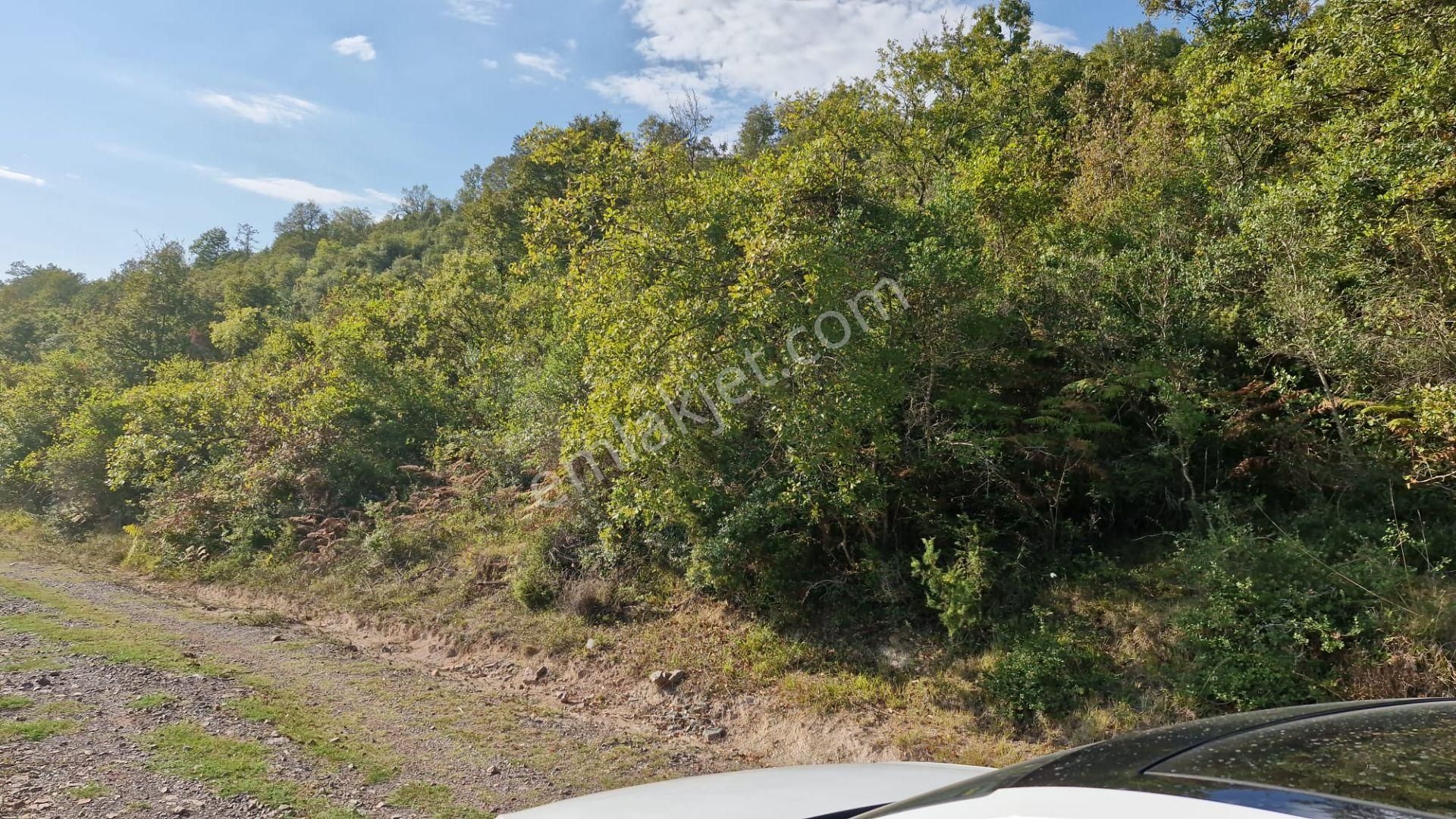 Kocaeli Alihocalar'da İmarlı Kiralık Arsa - Görsel 22