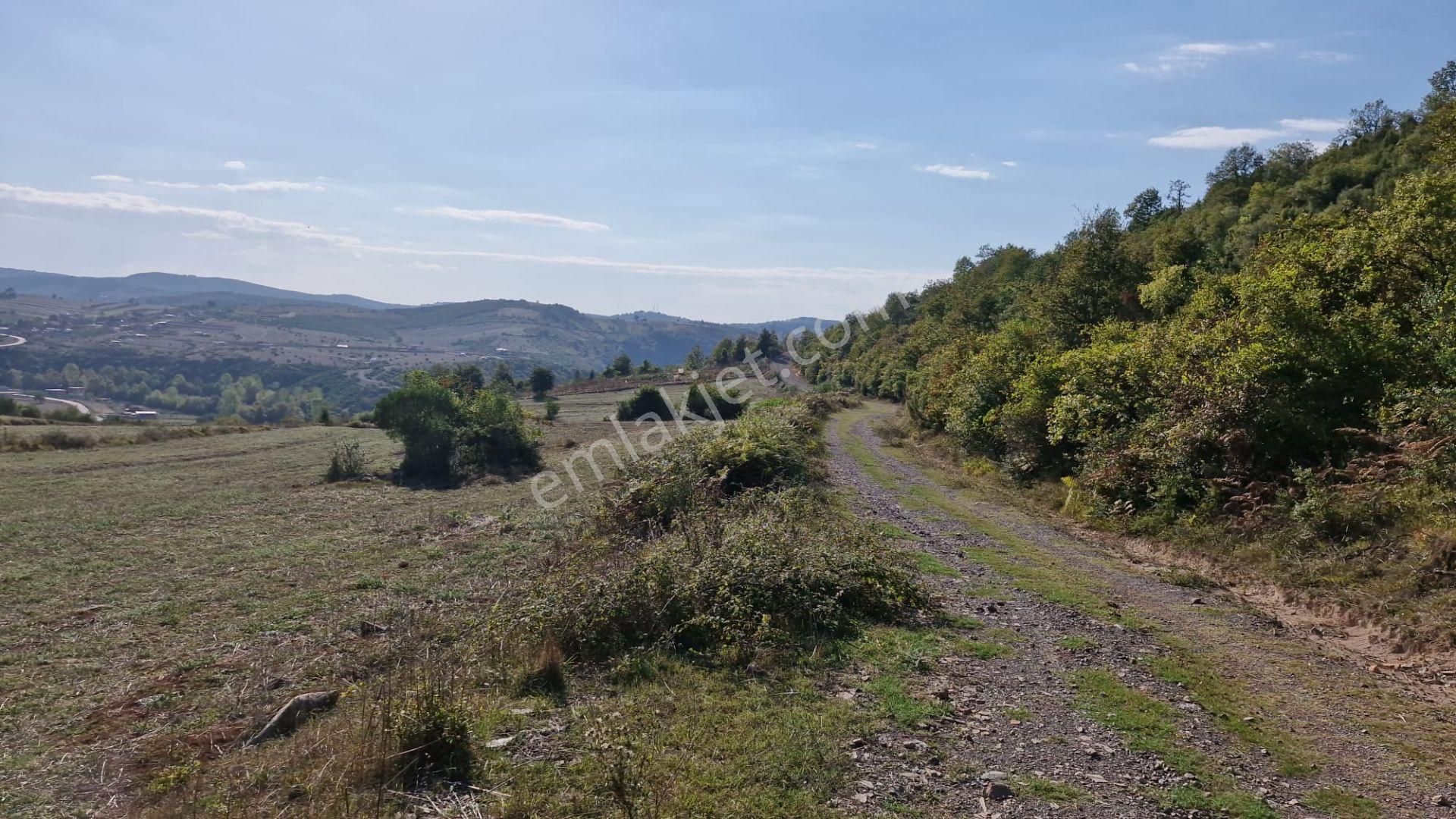 Kocaeli Alihocalar'da İmarlı Kiralık Arsa - Görsel 13