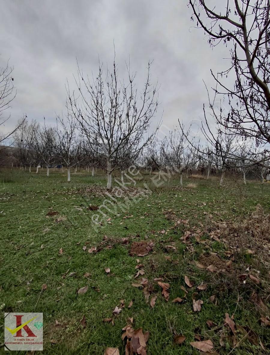 Kaymen Emlak Eskişehir Hisar'da 8096 M2 Arsa Üzeri 2 Müstakil Ev - Görsel 12