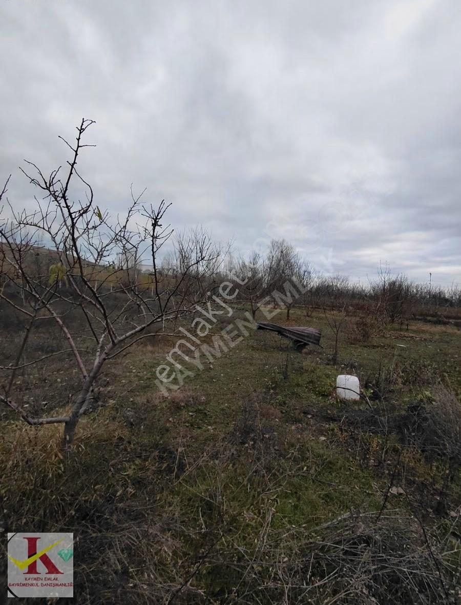 Kaymen Emlak Eskişehir Hisar'da 8096 M2 Arsa Üzeri 2 Müstakil Ev - Görsel 17