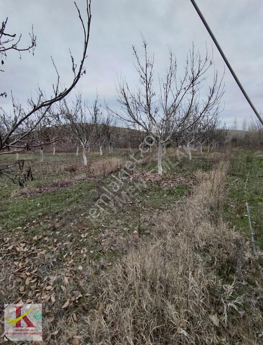 Kaymen Emlak Eskişehir Hisar'da 8096 M2 Arsa Üzeri 2 Müstakil Ev - Görsel 10