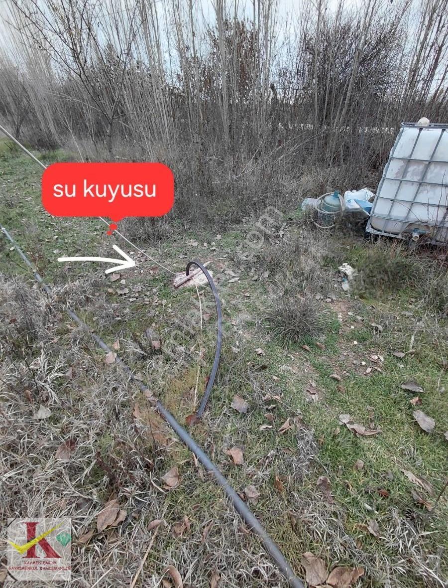 Kaymen Emlak Eskişehir Hisar'da 8096 M2 Arsa Üzeri 2 Müstakil Ev - Görsel 6