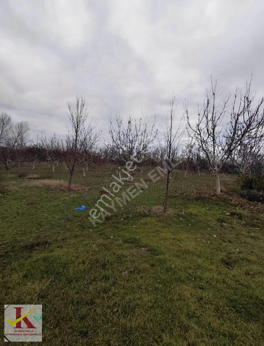 Kaymen Emlak Eskişehir Hisar'da 8096 M2 Arsa Üzeri 2 Müstakil Ev - Görsel 26