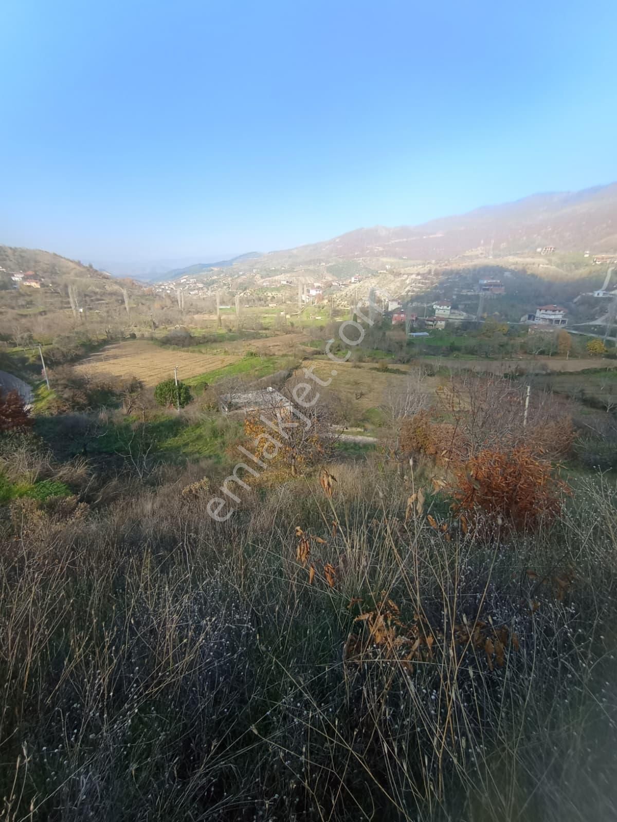 Aydın Nazilli Aşağıyakacık Mah Satılık - Görsel 15