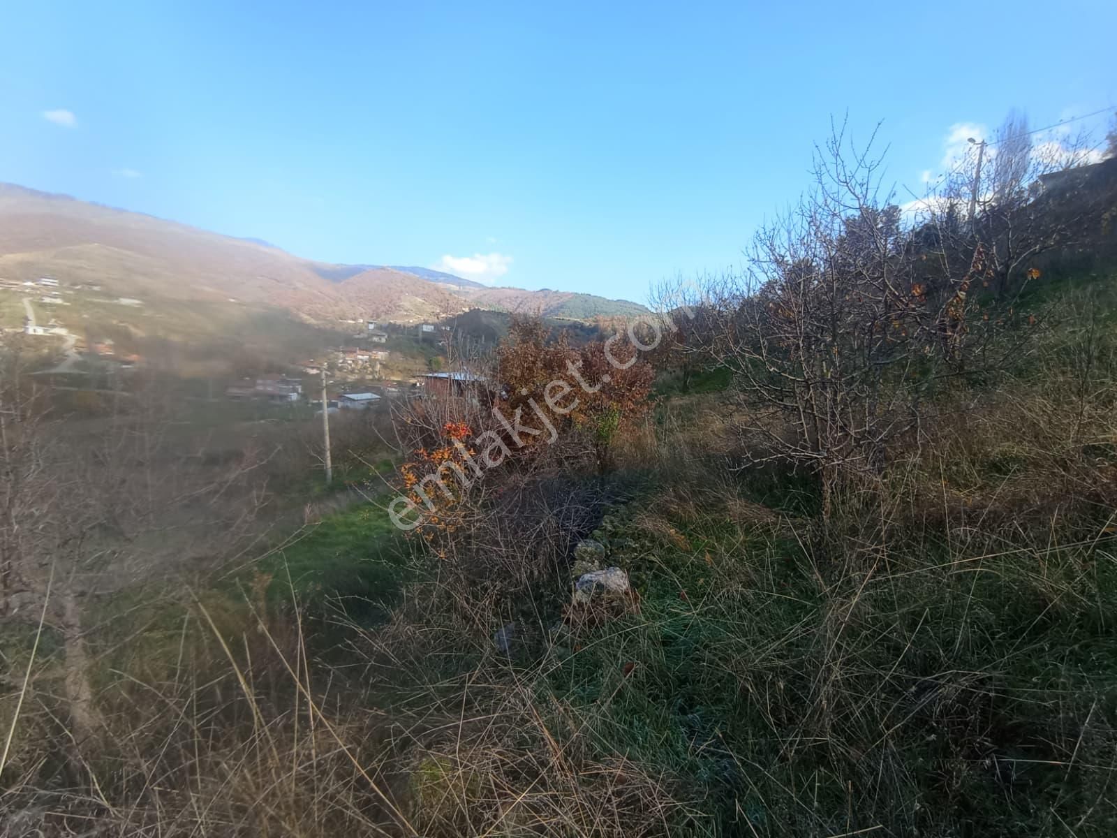 Aydın Nazilli Aşağıyakacık Mah Satılık - Görsel 34