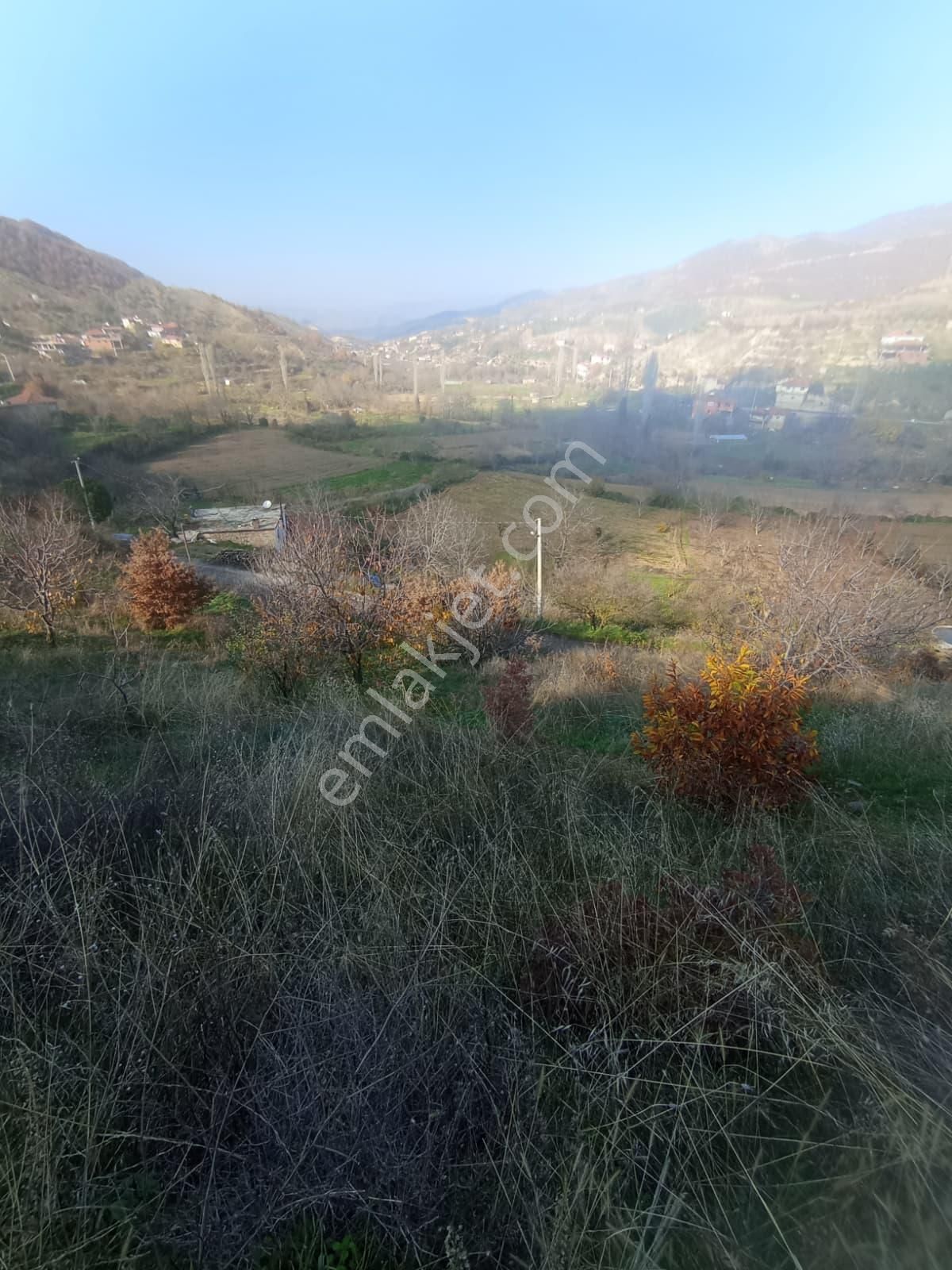 Aydın Nazilli Aşağıyakacık Mah Satılık - Görsel 12