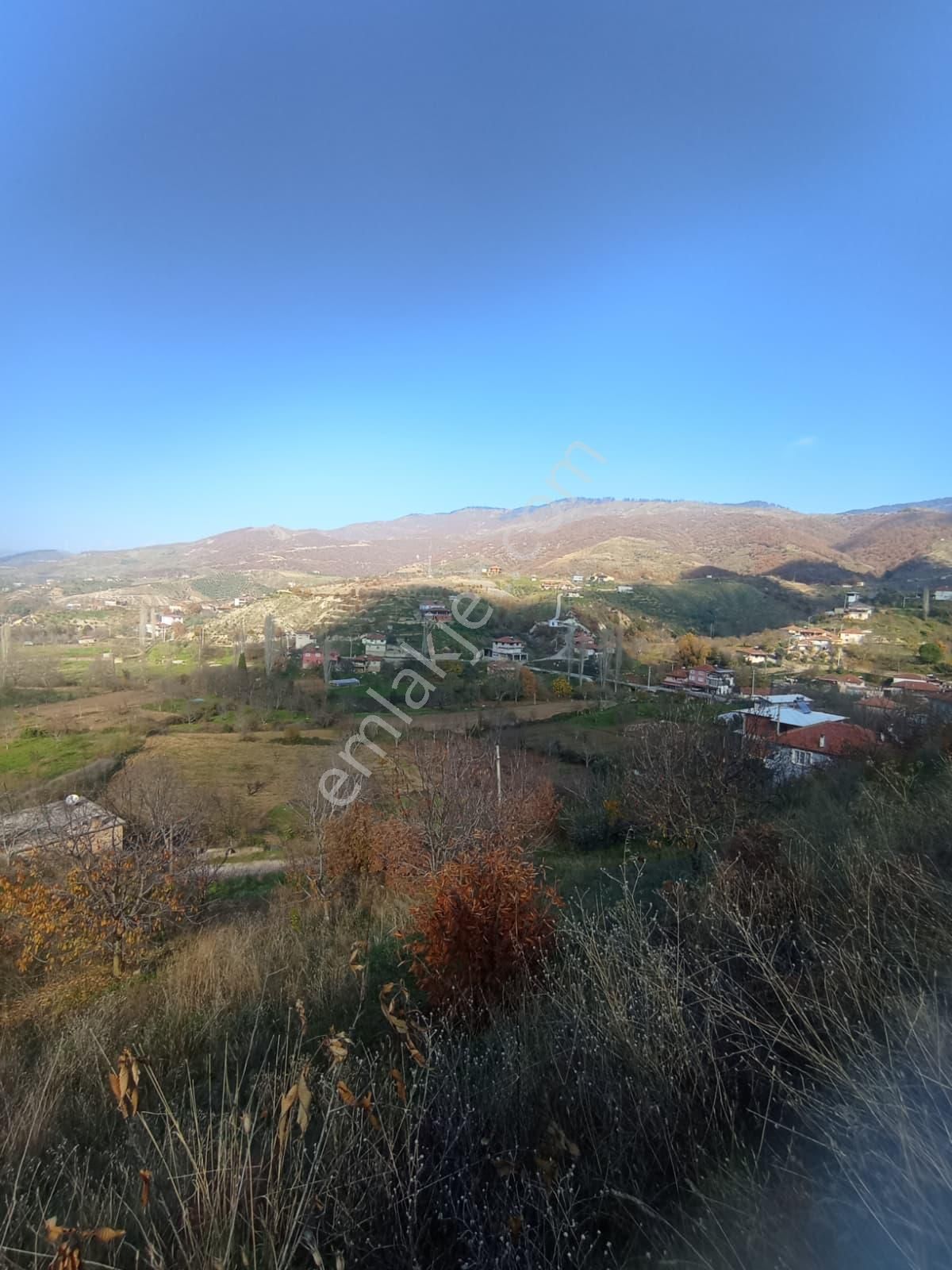 Aydın Nazilli Aşağıyakacık Mah Satılık - Görsel 16