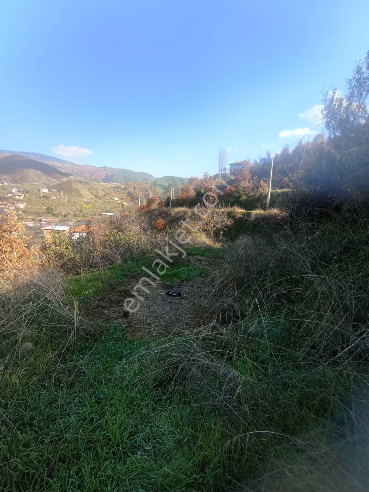 Aydın Nazilli Aşağıyakacık Mah Satılık - Görsel 24