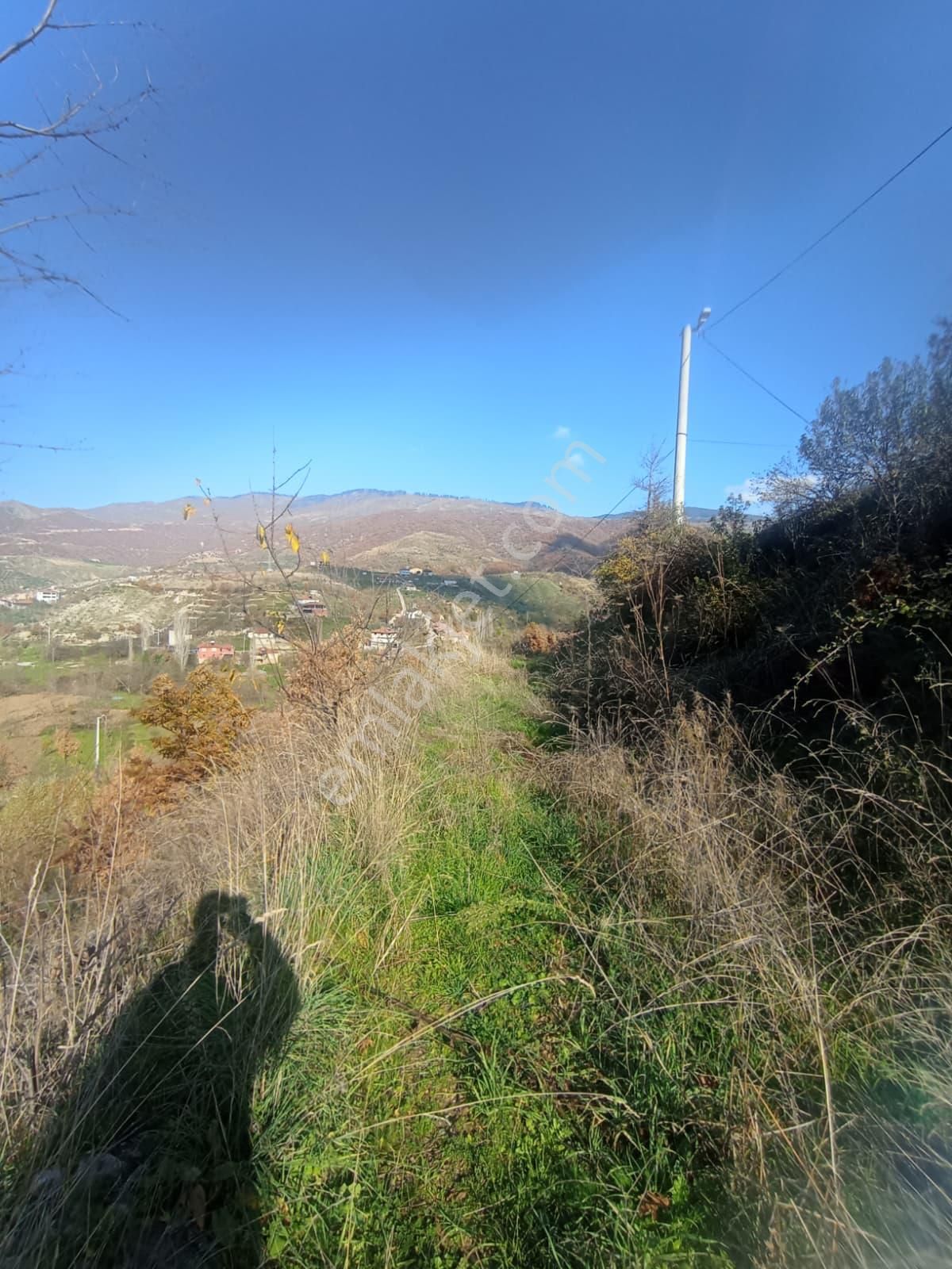 Aydın Nazilli Aşağıyakacık Mah Satılık - Görsel 23