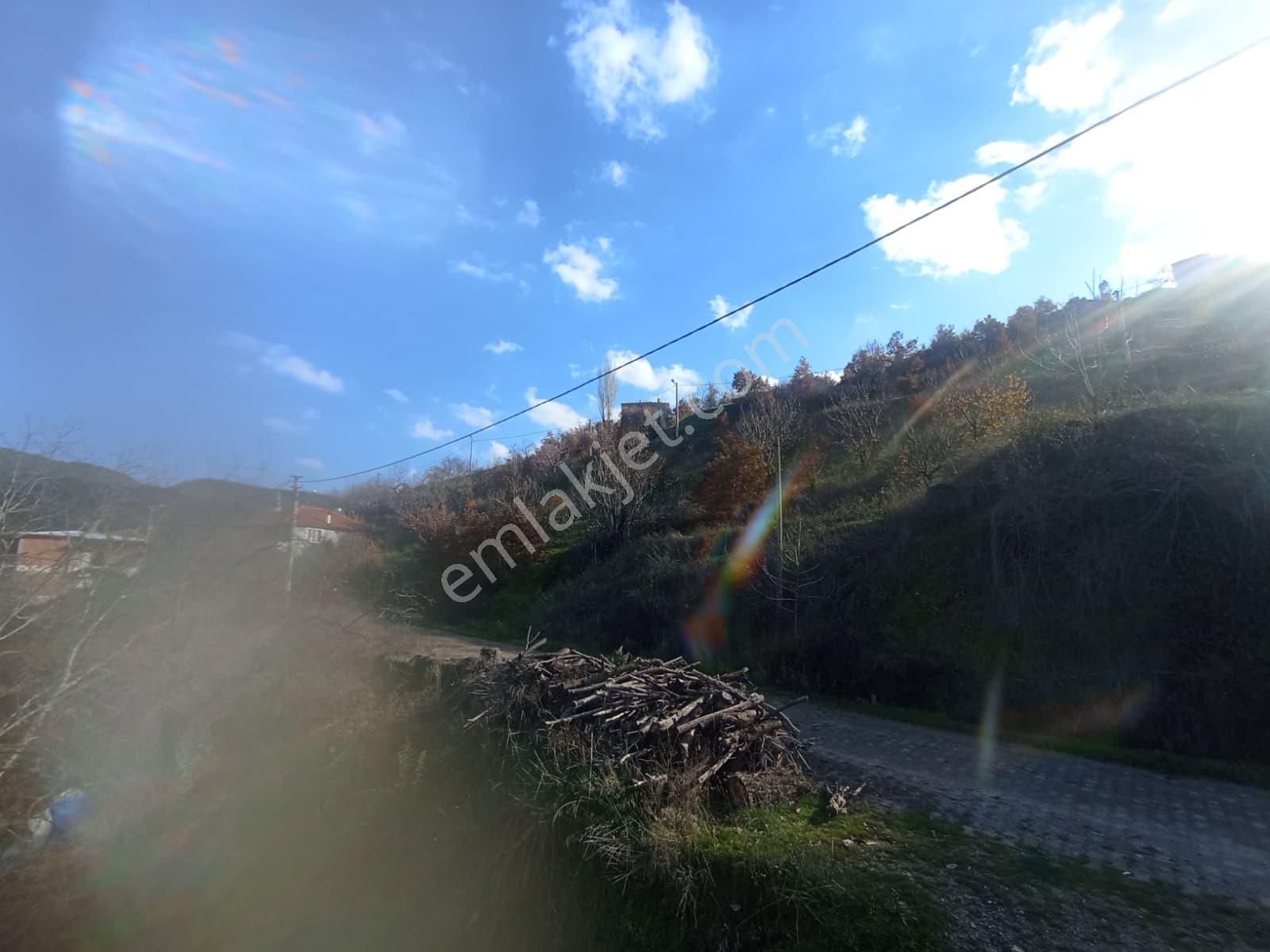 Aydın Nazilli Aşağıyakacık Mah Satılık