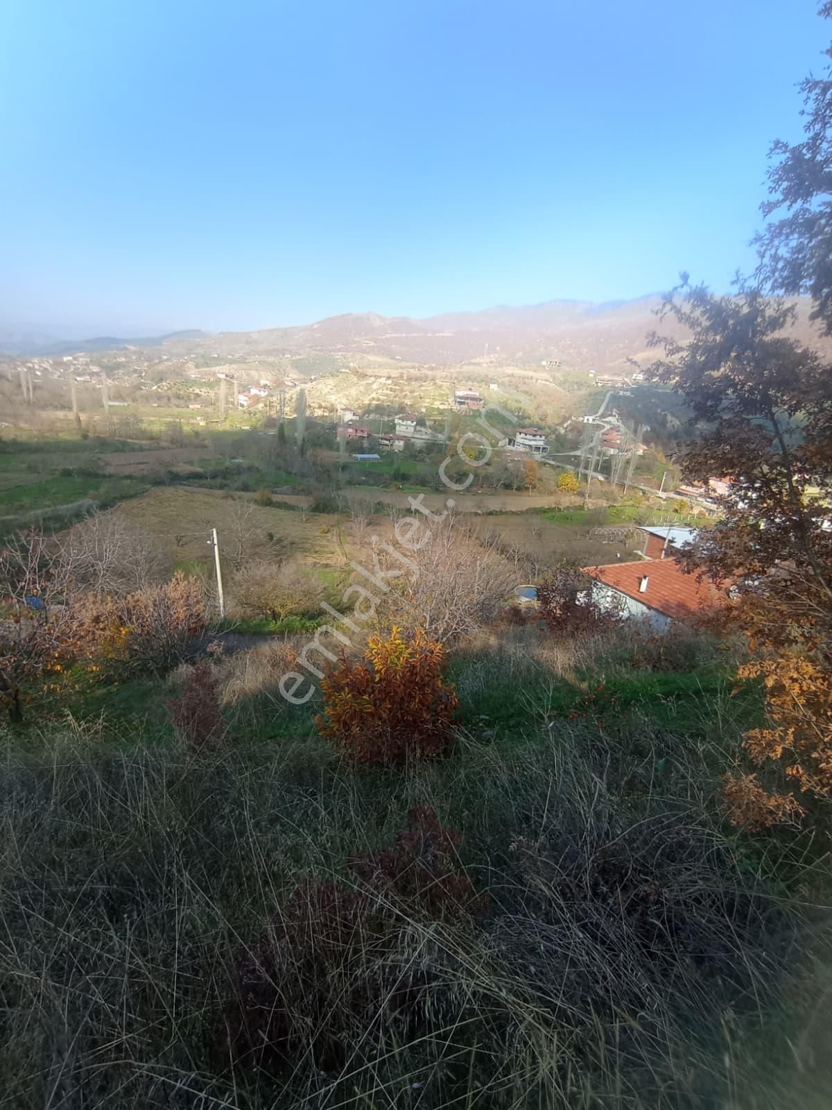 Aydın Nazilli Aşağıyakacık Mah Satılık - Görsel 10