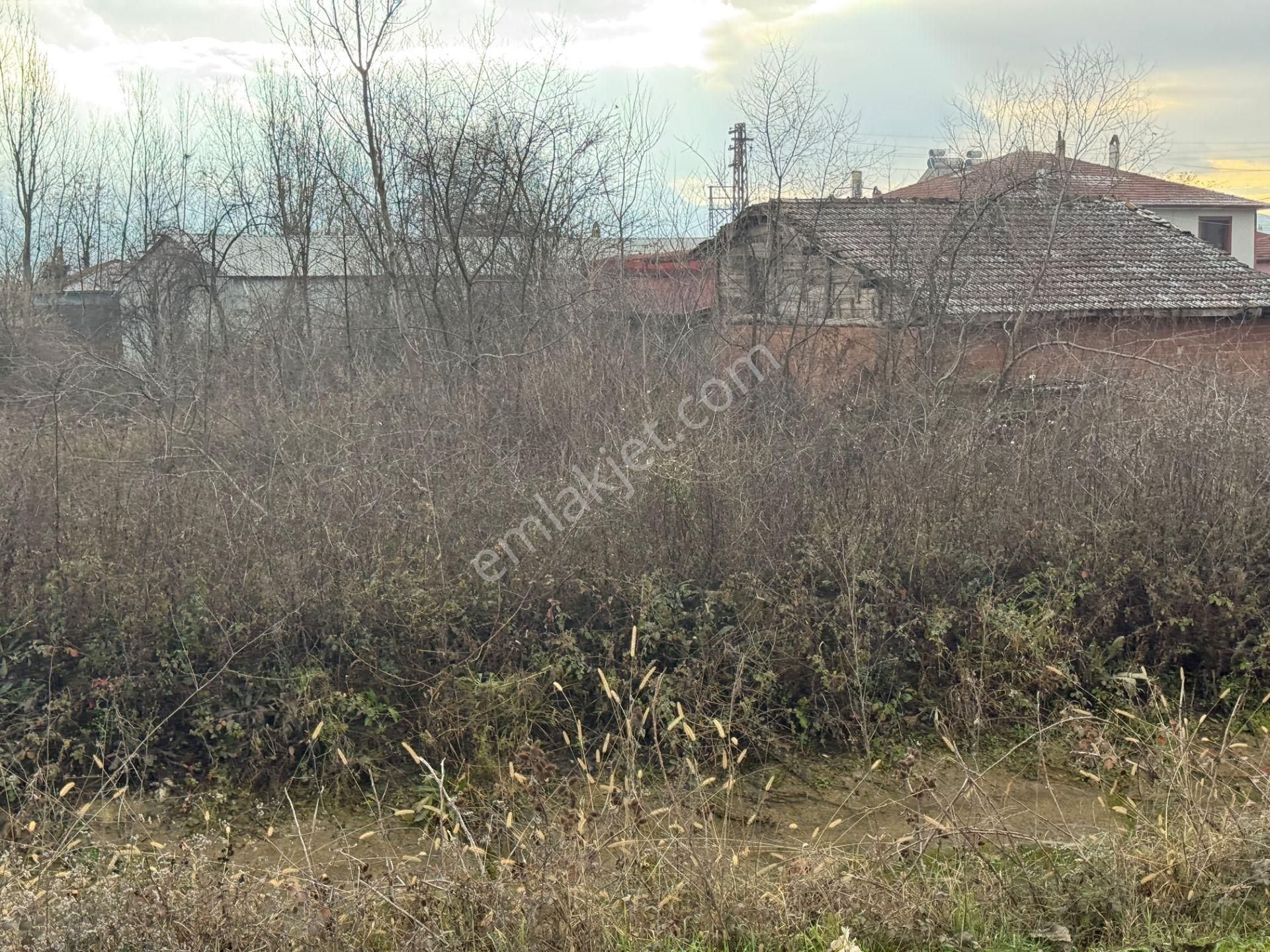 Yankıdan Pazar Ovayurt Köyü Suyu Yolu Olan 5.578m2 Satılık Tarla - Görsel 14