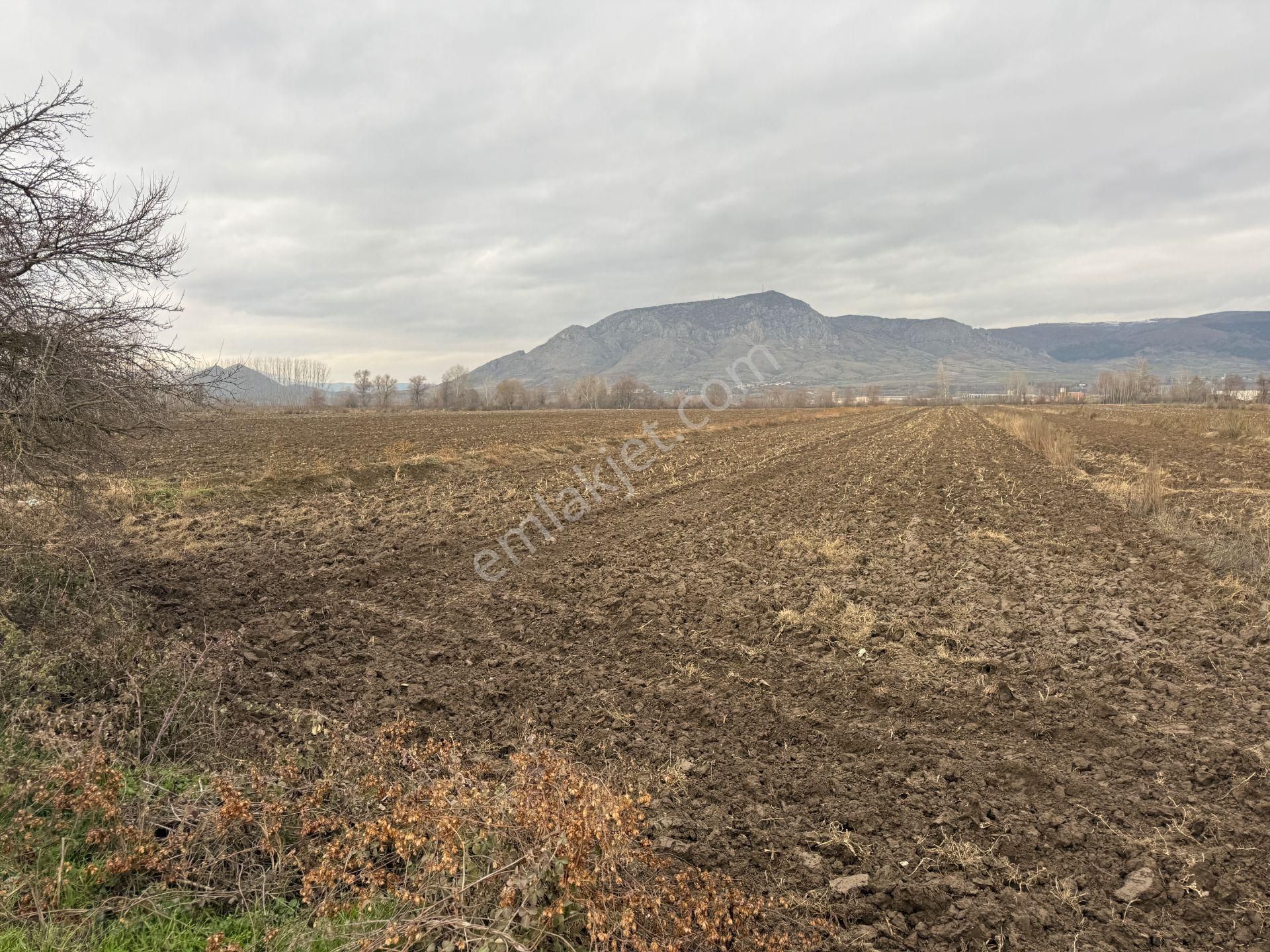 Yankıdan Pazar Ovayurt Köyü Suyu Yolu Olan 5.578m2 Satılık Tarla - Görsel 2